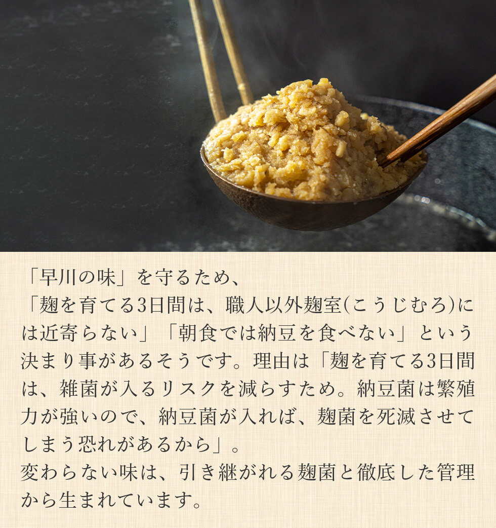 早川しょうゆみそ　味噌通販 醤油通販 みやこんじょ産直LiveShopping