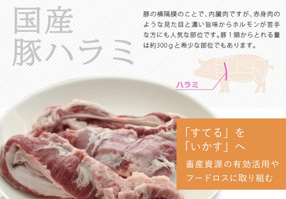 栗山ノーサン　お肉通販 炭火焼鶏 おさつポーク みやこんじょ産直LiveShopping