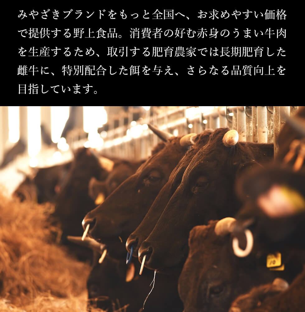 野上食品　お肉通販 宮崎牛 地頭鶏 みやこんじょ産直LiveShopping