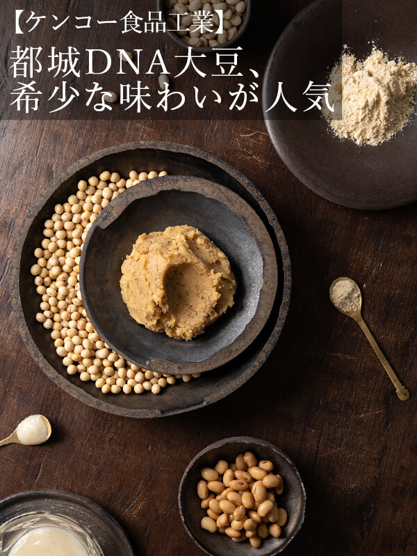 ケンコー食品工業